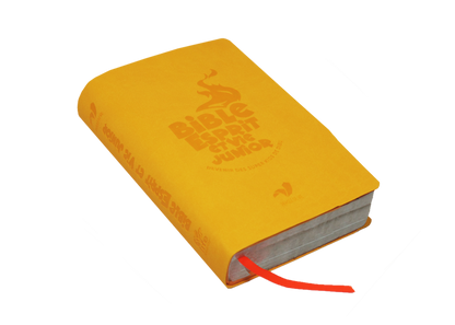 Bible Esprit et Vie Junior